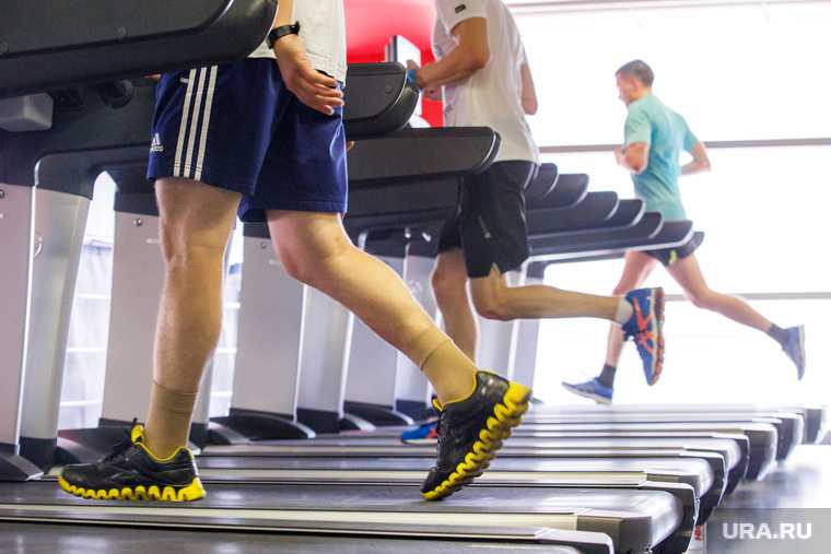 Курганская область коронавирус COVID фитнес спорт салоны открытие