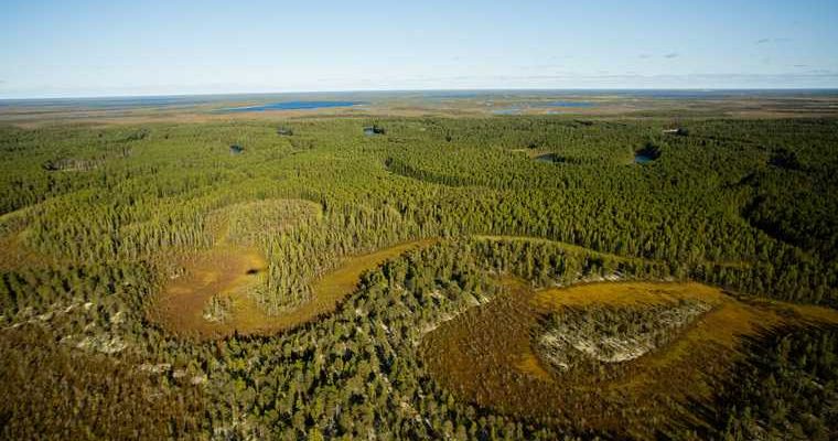 фильм снимут в перми