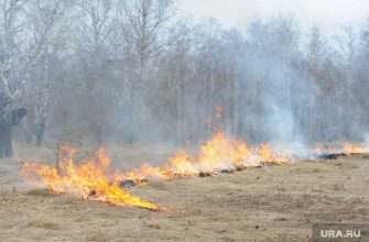 министры в хмао