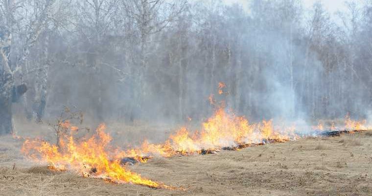 министры в хмао