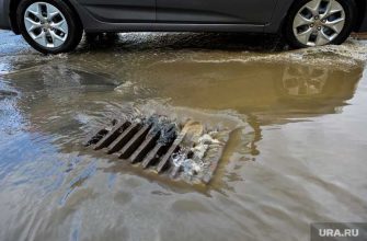 игорь кобзев