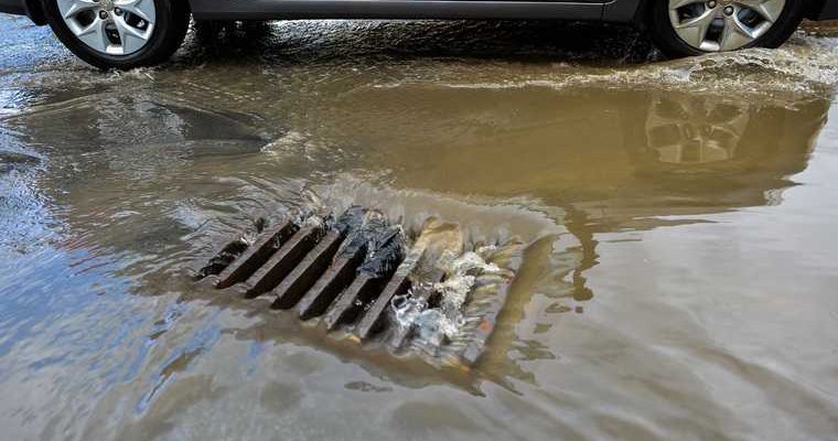 игорь кобзев