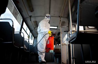 Коронавирус дайджест урару