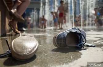 овощи и фрукты