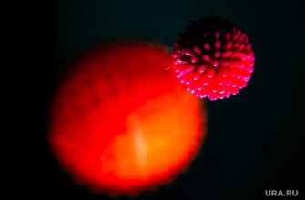 антитела к коронавирусу