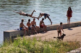 запрет на посещение лесов в Кургане