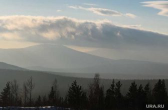 горит заповедник