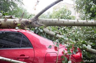 ветер гроза Красноярский край озеро шторм пострадавшие МЧС