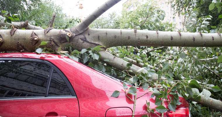 ветер гроза Красноярский край озеро шторм пострадавшие МЧС