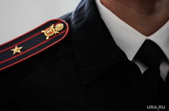 Коронавирус карантин полицейское начальство обеды