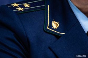 многодетная семья пили воду из болота Тюменская область