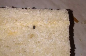 Сеяха Ямальский район ЯНАО производство хлеба мышиный помет