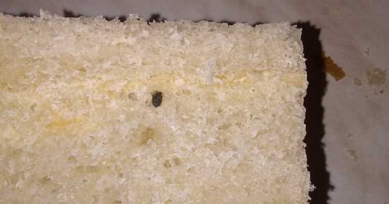 Сеяха Ямальский район ЯНАО производство хлеба мышиный помет