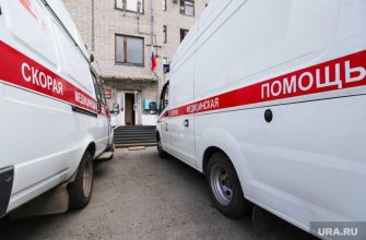 новые заболевшие в Курганской области