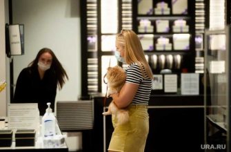 В екатеринбурге открылись тц