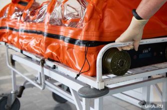 коронавирус свежие данные 8 августа Россия статистика заболевшие умершие