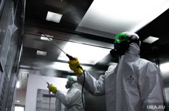 новая статистика по коронавирусу