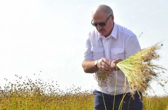 протесты Белоруссия выборы Лукашенко