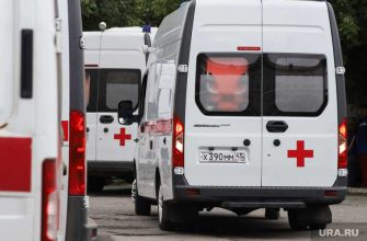 курганские врачи