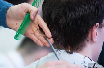 самые высокооплачиваемые профессии в России