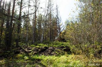 мужчина потерялся в Целинном районе