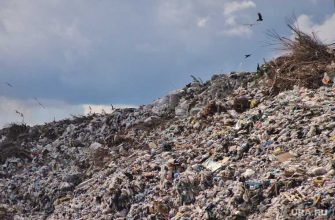 департамент природных ресурсов