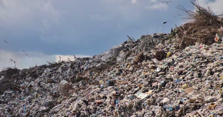 департамент природных ресурсов