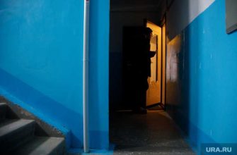 Пашаев украл квартиру