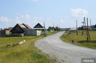 выигравшая выборы уборщица пропала из деревни