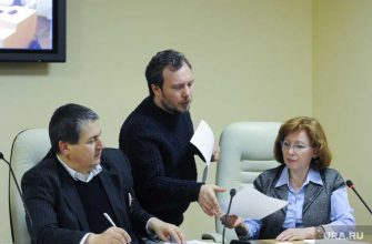 Засурский Иван наблюдение выборы Челябинск