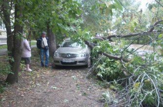 В Екатеринбурге ураган уронил столб на человека