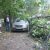 В Екатеринбурге ураган уронил столб на человека. Ветер валит деревья и заборы. ФОТО. ВИДЕО