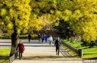 В Гидрометцентре назвали дату окончания бабьего лета в России