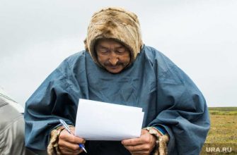 досрочное голосование в ЯНАО погодные условия туман