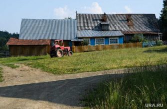 выборы уборщица планы