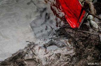 загрязнение вода Камчатка нефтепродукты эколог