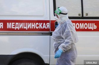 высшая школа