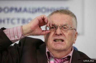 партия Родина