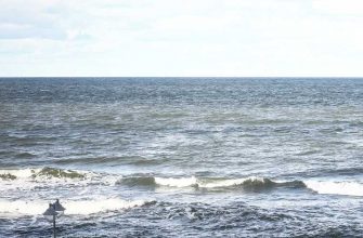 Камчатка загрязнение воды