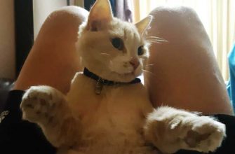 дмитрий темерханов бывший зек наркоман новая жизнь шанс