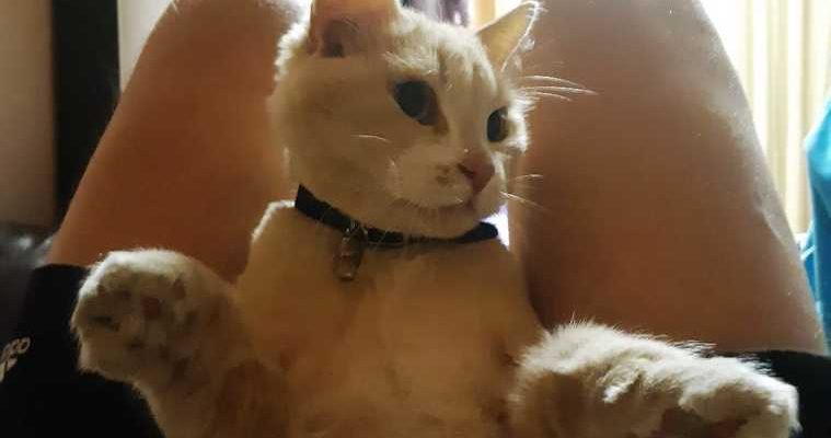 дмитрий темерханов бывший зек наркоман новая жизнь шанс