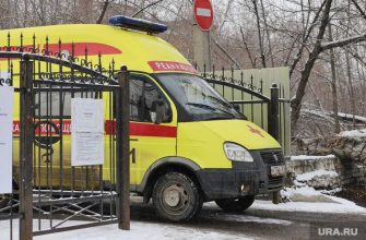 Коронавирус в Курганской области