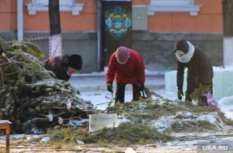 Распространение коронавируса в Новый год