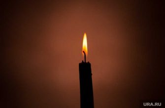 паралимпийский комитет россии