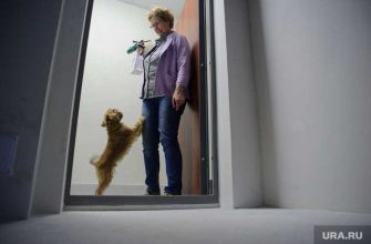 недействительная сделка возврат деньги покупка недвижимости безопасность