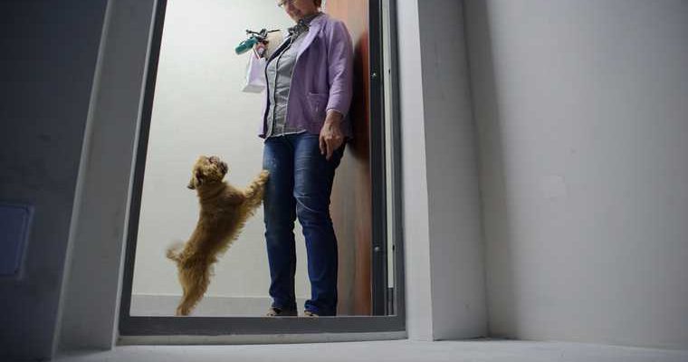 недействительная сделка возврат деньги покупка недвижимости безопасность