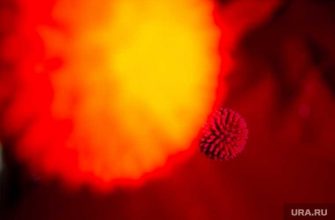 ковид статистика