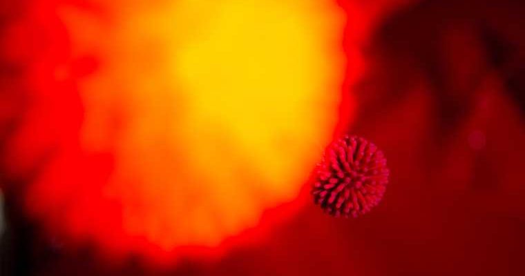 ковид статистика