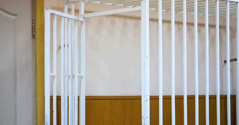 арест смирнова участие в митингах