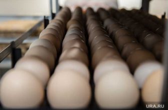 загрязнение земель